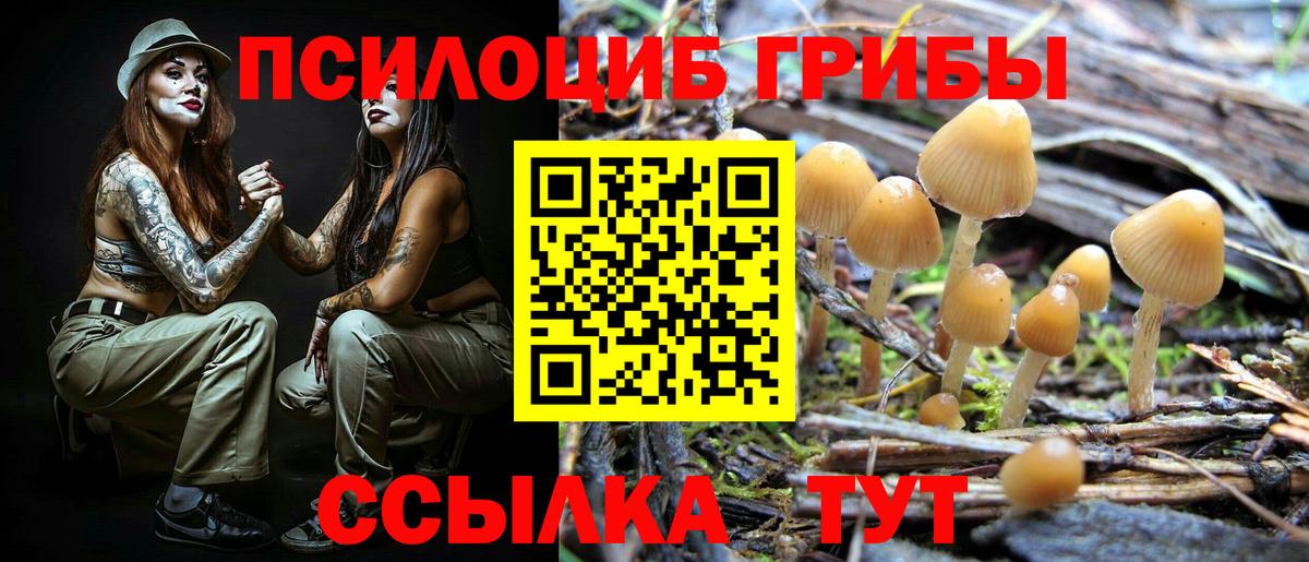 Галлюциногенные грибы Cubensis Тара